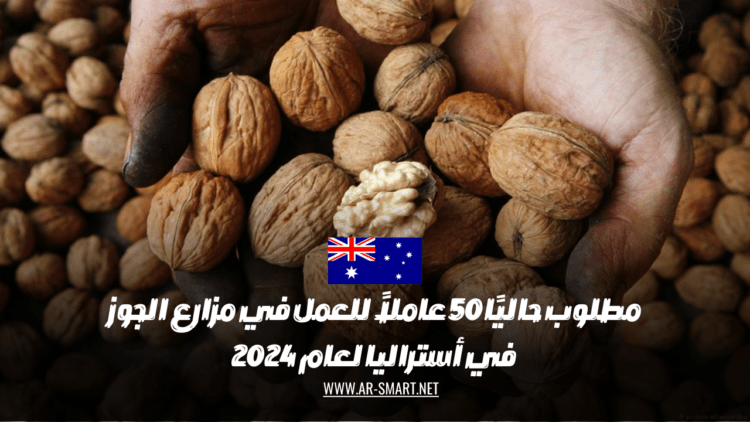 مطلوب حاليًا 50 عاملاً للعمل في مزارع الجوز في أستراليا لعام 2024