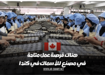 هناك فرصة عمل متاحة في مصنع للأسماك في كندا