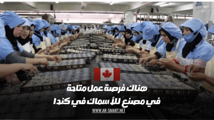هناك فرصة عمل متاحة في مصنع للأسماك في كندا