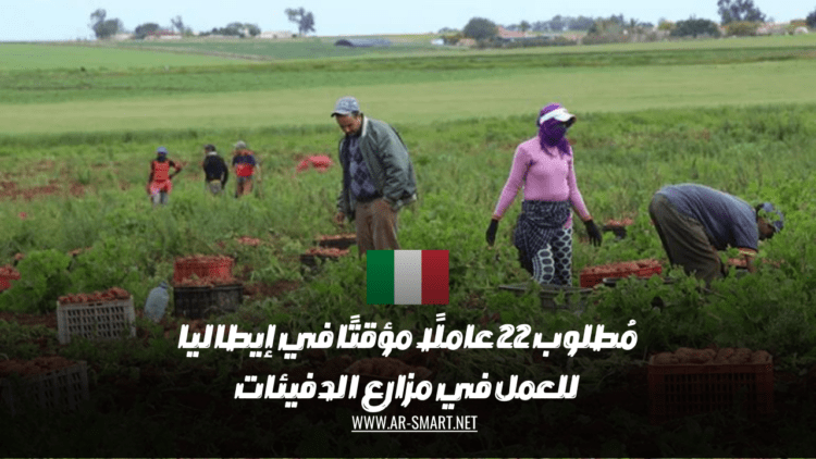 مُطلوب 22 عاملًا مؤقتًا في إيطاليا للعمل في مزارع الدفيئات