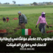 مُطلوب 22 عاملًا مؤقتًا في إيطاليا للعمل في مزارع الدفيئات