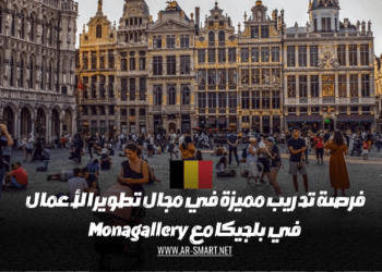 تقدم Monagallery فرصة تدريب مميزة في مجال تطوير الأعمال في بلجيكا