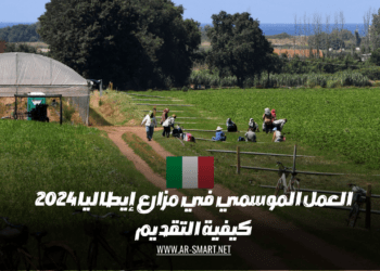 كيفية تقديم طلب للعمل الموسمي في مزارع إيطاليا لعام 2024
