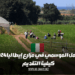 كيفية تقديم طلب للعمل الموسمي في مزارع إيطاليا لعام 2024