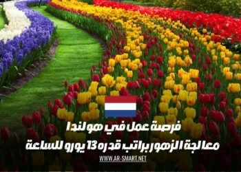 فرصة عمل متاحة في هولندا لمعالجة الزهور براتب يبلغ 13 يورو في الساعة