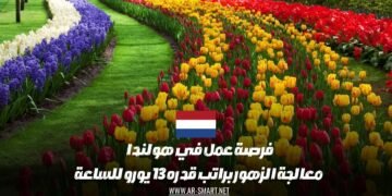فرصة عمل متاحة في هولندا لمعالجة الزهور براتب يبلغ 13 يورو في الساعة