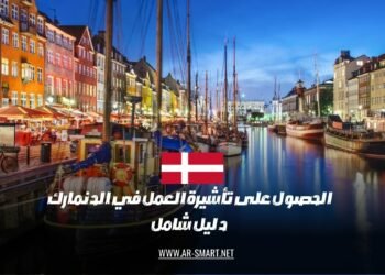 دليل شامل حول الحصول على تأشيرة العمل في الدنمارك