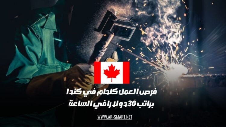 فرص العمل المتاحة كحام في كندا تتيح راتباً قدره 30 دولاراً في الساعة