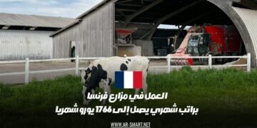 تتوفر فرص العمل في مزارع فرنسا براتب شهري قد يصل إلى 1766 يورو