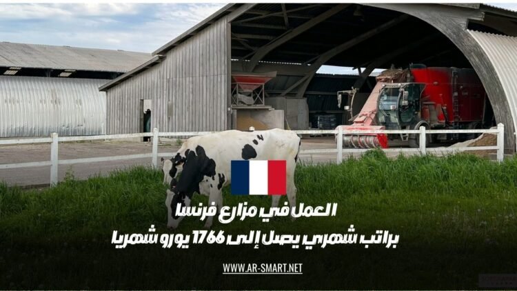 تتوفر فرص العمل في مزارع فرنسا براتب شهري قد يصل إلى 1766 يورو
