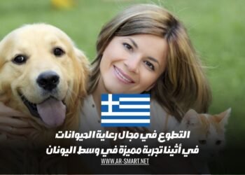 التطوع في مجال رعاية الحيوانات في أثينا: تجربة مميزة في وسط اليونان