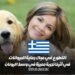 التطوع في مجال رعاية الحيوانات في أثينا: تجربة مميزة في وسط اليونان