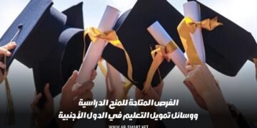 الفرص المتاحة للمنح الدراسية ووسائل تمويل التعليم في الدول الأجنبية