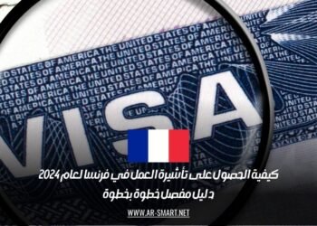 كيفية الحصول على تأشيرة العمل في فرنسا لعام 2024: دليل مفصل خطوة بخطوة