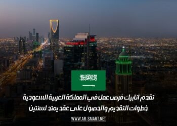 تقدم انابيك فرص عمل في المملكة العربية السعودية: خطوات التقديم والحصول على عقد يمتد لسنتين