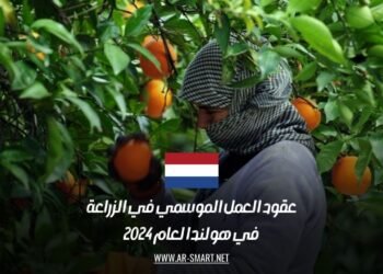 عقود العمل الموسمي في الزراعة في هولندا لعام 2024