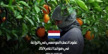 عقود العمل الموسمي في الزراعة في هولندا لعام 2024