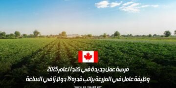 فرصة عمل جديدة في كندا لعام 2025: وظيفة عامل في المزرعة براتب قدره 19 دولارًا في الساعة