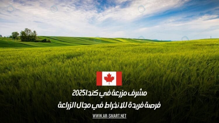 مشرف مزرعة في كندا 2025: فرصة فريدة للانخراط في مجال الزراعة