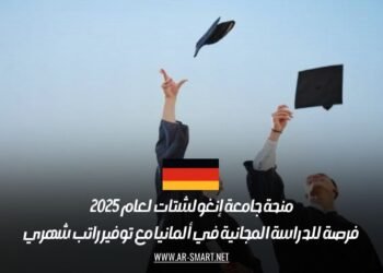 منحة جامعة إنغولشتات 2025: سجل الآن لدراسة مجانية في ألمانيا مع راتب شهري