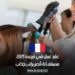 فرصة عمل في فرنسا 2025 | مطلوب مصفف أو مصففة شعر براتب مميز وامتيازات رائعة