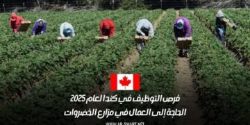 فرص التوظيف في كندا لعام 2025: الحاجة إلى العمال في مزارع الخضروات