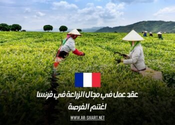 عقد عمل في مجال الزراعة في فرنسا: اغتنم الفرصة
