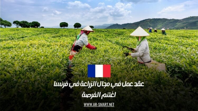 عقد عمل في مجال الزراعة في فرنسا: اغتنم الفرصة