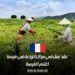 عقد عمل في مجال الزراعة في فرنسا: اغتنم الفرصة