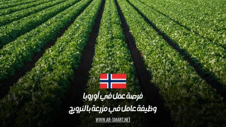فرصة عمل في أوروبا: وظيفة عامل في مزرعة بالنرويج