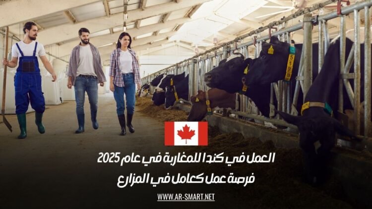 العمل في كندا للمغاربة في عام 2025: فرصة عمل كعامل في المزارع