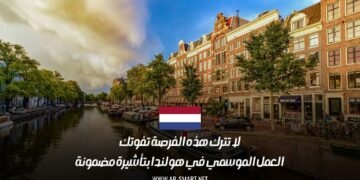 لا تترك هذه الفرصة تفوتك: العمل الموسمي في هولندا بتأشيرة مضمونة