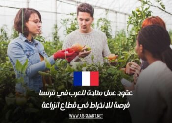 عقود عمل متاحة للعرب في فرنسا: فرصة للانخراط في قطاع الزراعة