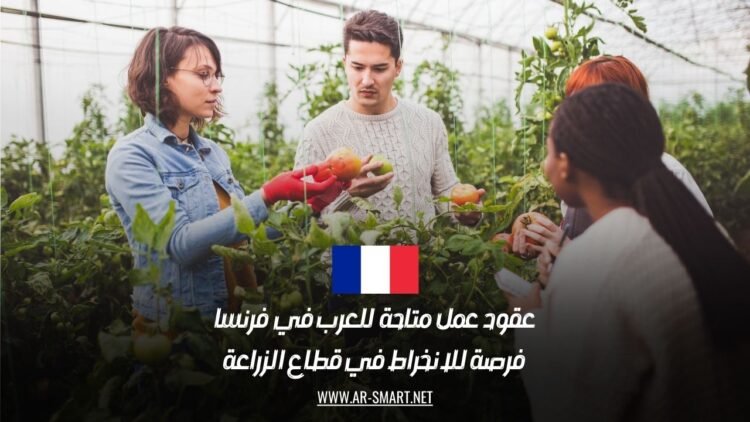 عقود عمل متاحة للعرب في فرنسا: فرصة للانخراط في قطاع الزراعة