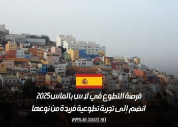 فرصة التطوع في لاس بالماس 2025: انضم إلى تجربة تطوعية فريدة من نوعها