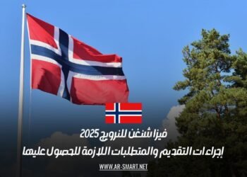 فيزا شنغن للنرويج 2025: إجراءات التقديم والمتطلبات اللازمة للحصول عليها