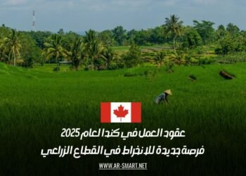 عقود العمل في كندا لعام 2025: فرصة جديدة للانخراط في القطاع الزراعي