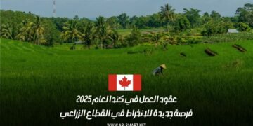 عقود العمل في كندا لعام 2025: فرصة جديدة للانخراط في القطاع الزراعي