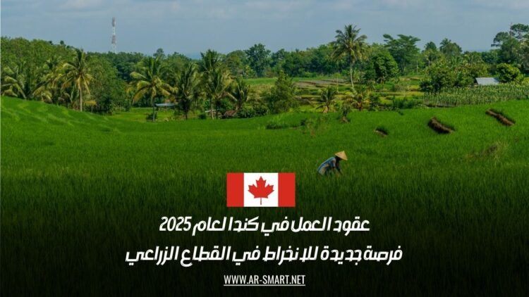 عقود العمل في كندا لعام 2025: فرصة جديدة للانخراط في القطاع الزراعي