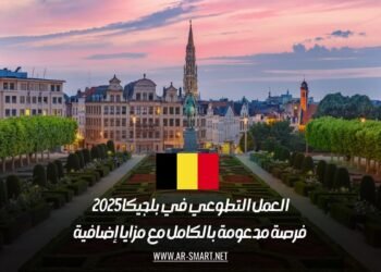 العمل التطوعي في بلجيكا 2025: فرصة مدعومة بالكامل مع مزايا إضافية