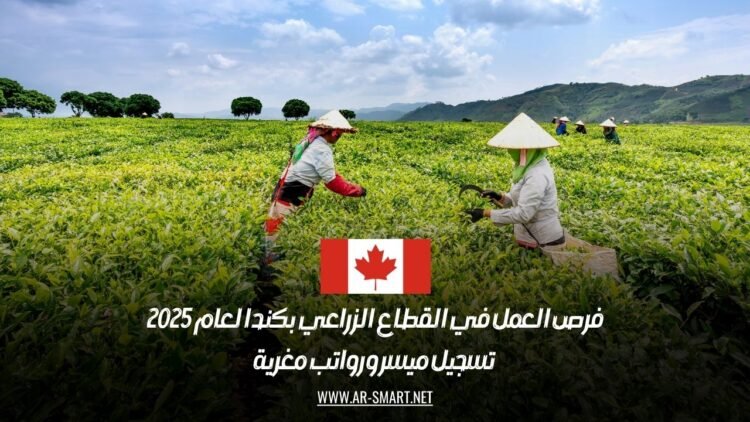 فرص العمل في القطاع الزراعي بكندا لعام 2025: تسجيل ميسر ورواتب مغرية