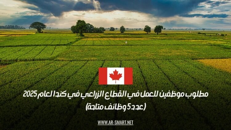 مطلوب موظفين للعمل في القطاع الزراعي في كندا لعام 2025 (عدد 5 وظائف متاحة)