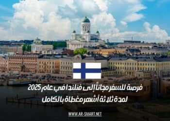 فرصة للسفر مجاناً إلى فنلندا في عام 2025: لمدة ثلاثة أشهر مغطاة بالكامل