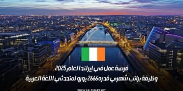فرصة عمل في إيرلندا لعام 2025: وظيفة براتب شهري قدره 2666 يورو لمتحدثي اللغة العربية
