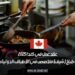 عقد عمل في كندا 2025 بوظيفة طباخ (شيف) متخصص في الأطباق الدولية والحلال