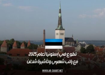 تطوع في إستونيا لعام 2025 | مع راتب شهري وتأشيرة شنغن