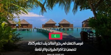فرص العمل في جزر المالديف لعام 2025: تتضمن تذاكر الطيران والإقامة