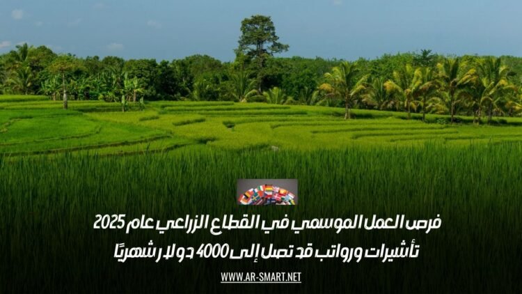 فرص العمل الموسمي في القطاع الزراعي عام 2025: تأشيرات ورواتب قد تصل إلى 4000 دولار شهريًا