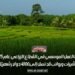 فرص العمل الموسمي في القطاع الزراعي عام 2025: تأشيرات ورواتب قد تصل إلى 4000 دولار شهريًا