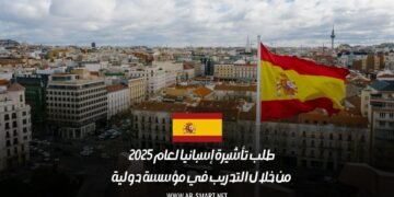 طلب تأشيرة إسبانيا لعام 2025: من خلال التدريب في مؤسسة دولية